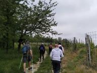 ALLENAMENTO DI NORDIC WALKING