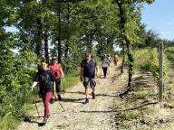 ALLENAMENTO DI NORDIC WALKING