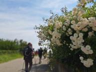 ALLENAMENTO DI NORDIC WALKING