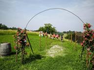 ALLENAMENTO DI NORDIC WALKING