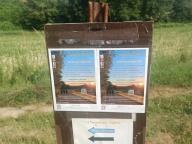 ALLENAMENTO DI NORDIC WALKING