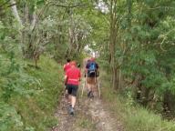 ALLENAMENTO DI NORDIC WALKING