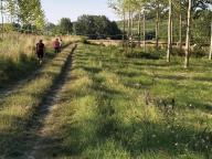NORDIC WALKING BENESSERE