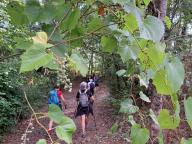 ALLENAMENTO DI NORDIC WALKING