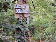 ALLENAMENTO DI NORDIC WALKING