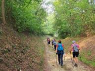ALLENAMENTO DI NORDIC WALKING
