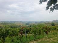 ALLENAMENTO DI NORDIC WALKING