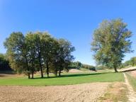 ALLENAMENTO DI NORDIC WALKING