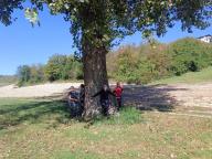ALLENAMENTO DI NORDIC WALKING