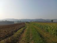 ALLENAMENTO DI NORDIC WALKING