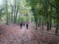 ALLENAMENTO DI NORDIC WALKING