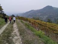 NORDIC WALKING BENESSERE