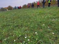 ALLENAMENTO DI NORDIC WALKING