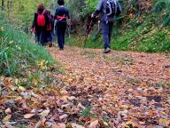 ALLENAMENTO DI NORDIC WALKING
