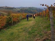 ALLENAMENTO DI NORDIC WALKING