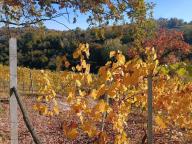 ALLENAMENTO DI NORDIC WALKING