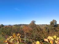 ALLENAMENTO DI NORDIC WALKING