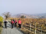 ALLENAMENTO DI NORDIC WALKING