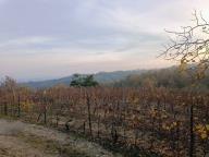 ALLENAMENTO DI NORDIC WALKING