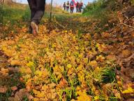 ALLENAMENTO DI NORDIC WALKING