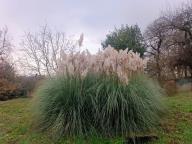 ALLENAMENTO DI NORDIC WALKING