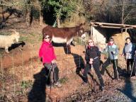 ALLENAMENTO DI NORDIC WALKING