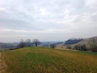 ALLENAMENTO DI NORDIC WALKING