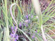 ALLENAMENTO DI NORDIC WALKING