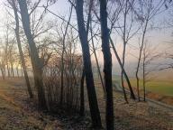 ALLENAMENTO DI NORDIC WALKING