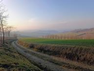 ALLENAMENTO DI NORDIC WALKING