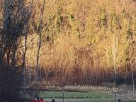 ALLENAMENTO DI NORDIC WALKING