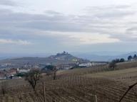 ALLENAMENTO DI NORDIC WALKING