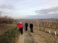 ALLENAMENTO DI NORDIC WALKING