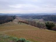 ALLENAMENTO DI NORDIC WALKING