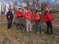 ALLENAMENTO DI NORDIC WALKING