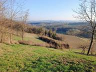 ALLENAMENTO DI NORDIC WALKING