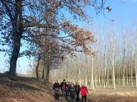 ALLENAMENTO DI NORDIC WALKING