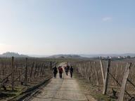 ALLENAMENTO DI NORDIC WALKING