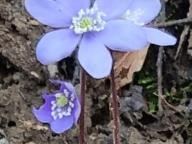 ALLENAMENTO DI NORDIC WALKING