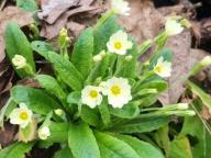 ALLENAMENTO DI NORDIC WALKING