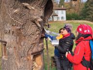 ALLENAMENTO DI NORDIC WALKING