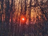 ALLENAMENTO DI NORDIC WALKING