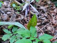 ALLENAMENTO DI NORDIC WALKING