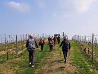 ALLENAMENTO DI NORDIC WALKING