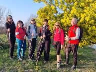ALLENAMENTO DI NORDIC WALKING
