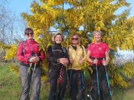 ALLENAMENTO DI NORDIC WALKING