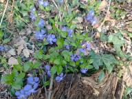 ALLENAMENTO DI NORDIC WALKING