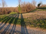 ALLENAMENTO DI NORDIC WALKING