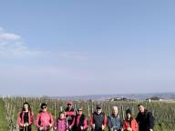ALLENAMENTO DI NORDIC WALKING