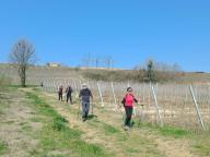 ALLENAMENTO DI NORDIC WALKING